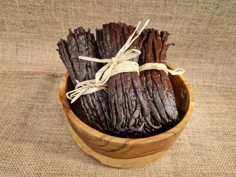 Vanille Bourbon Gourmet Bio de Madagascar